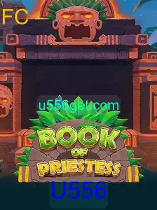 Explorando o Fascinante Mundo de BookOfPriestess